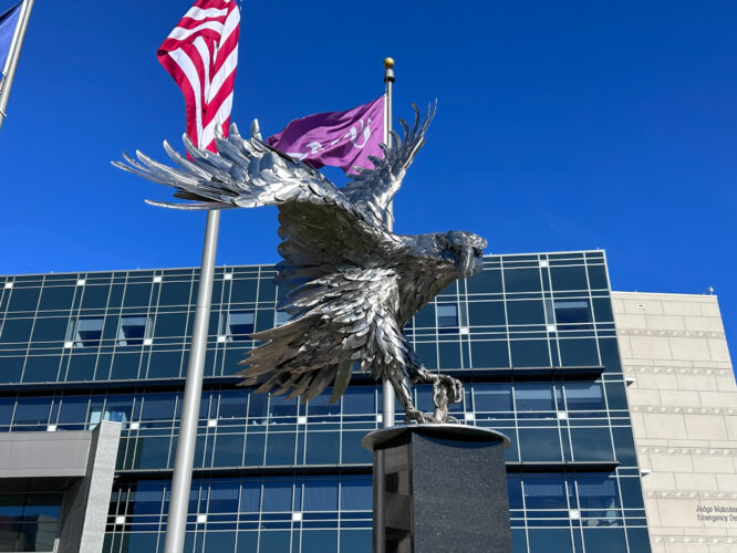 Tribute to veterans dedicated at UPMC Susquehanna
